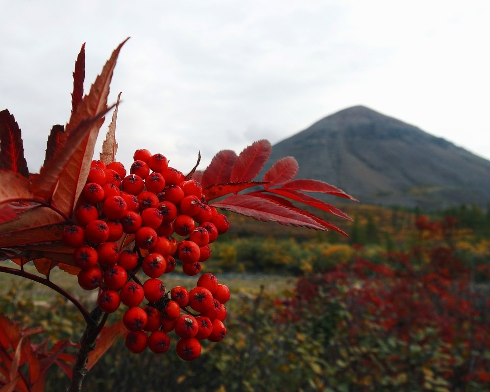 Photograph by Руслан Круглов