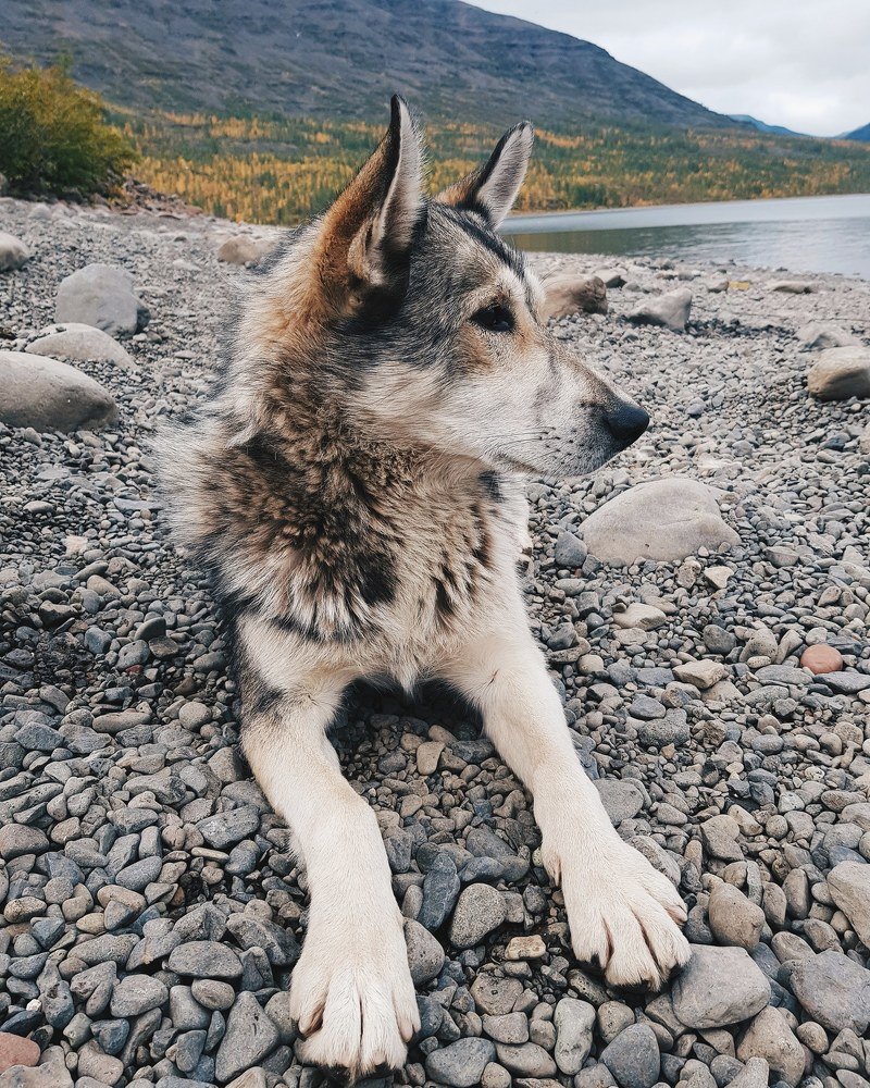 Photograph by Руслан Круглов