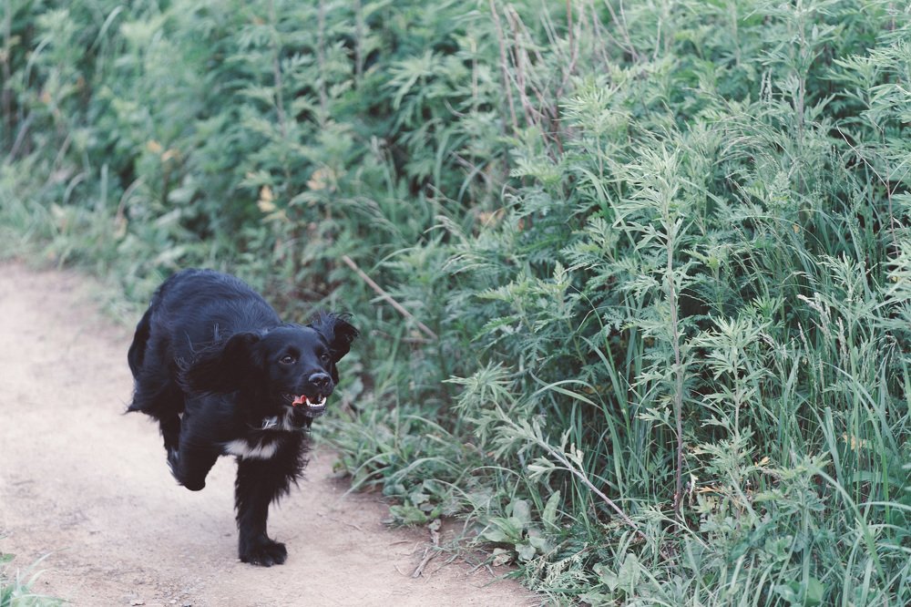 Photograph by Оксана