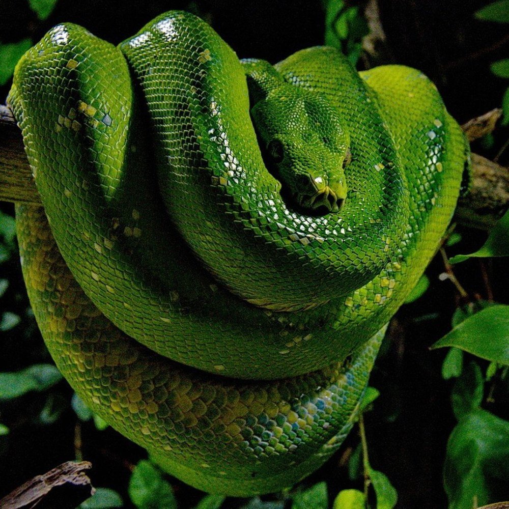 Photograph by Lev Prilutsky