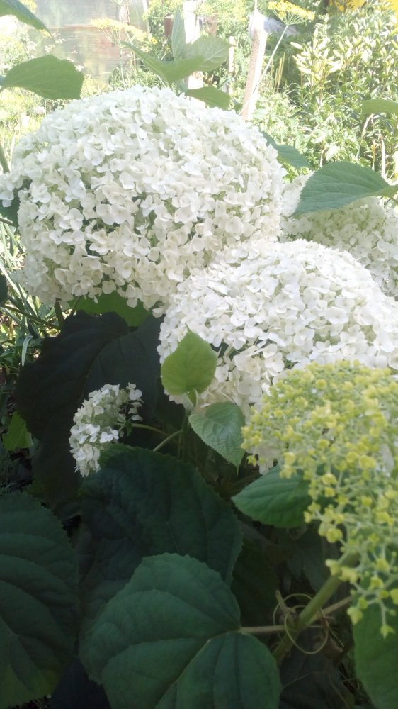 Photograph by Валентина Березина