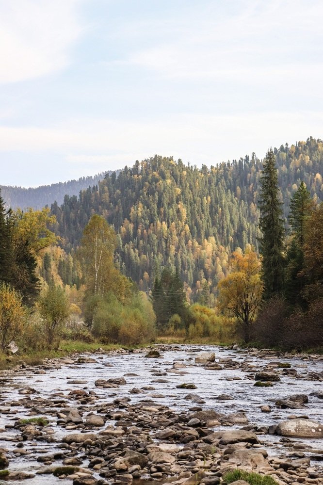Река Йогач, сентябрь