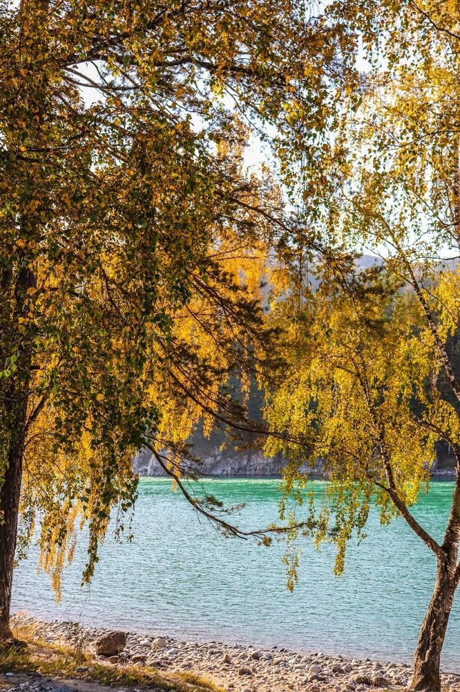 Сентябрь, берег реки Катунь