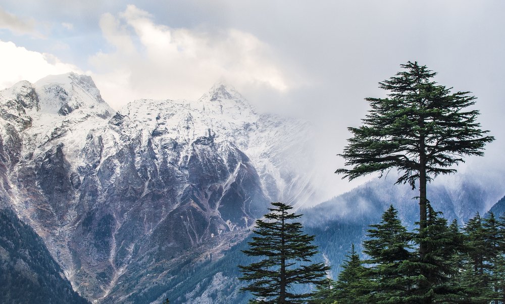 Photograph by Dipayan Das