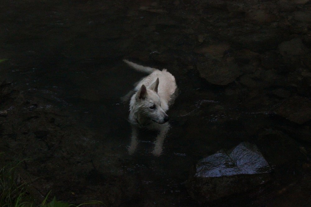 Photograph by Родион Лещенко