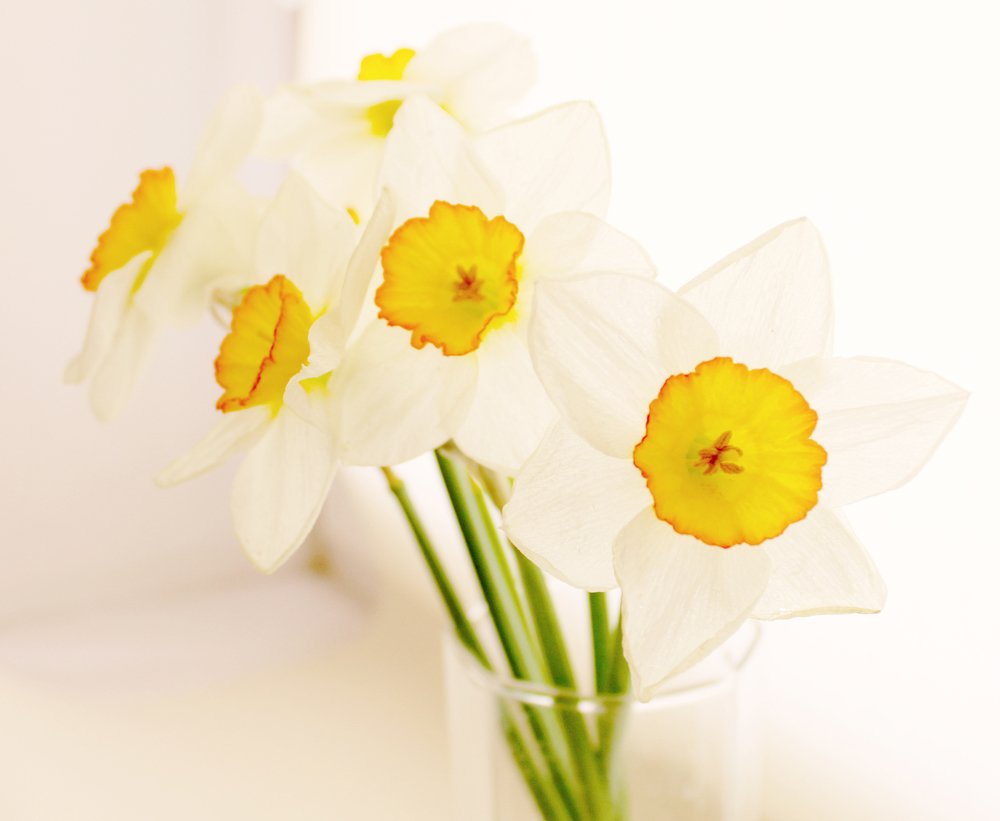 Photograph by Эльза Давлеева