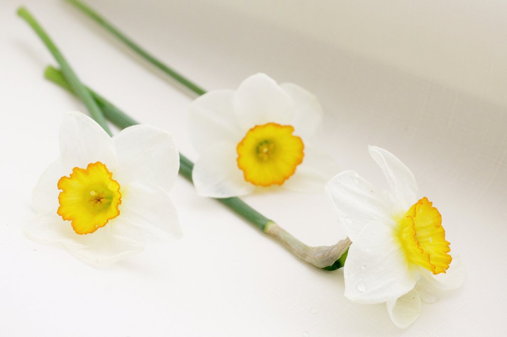 Photograph by Эльза Давлеева