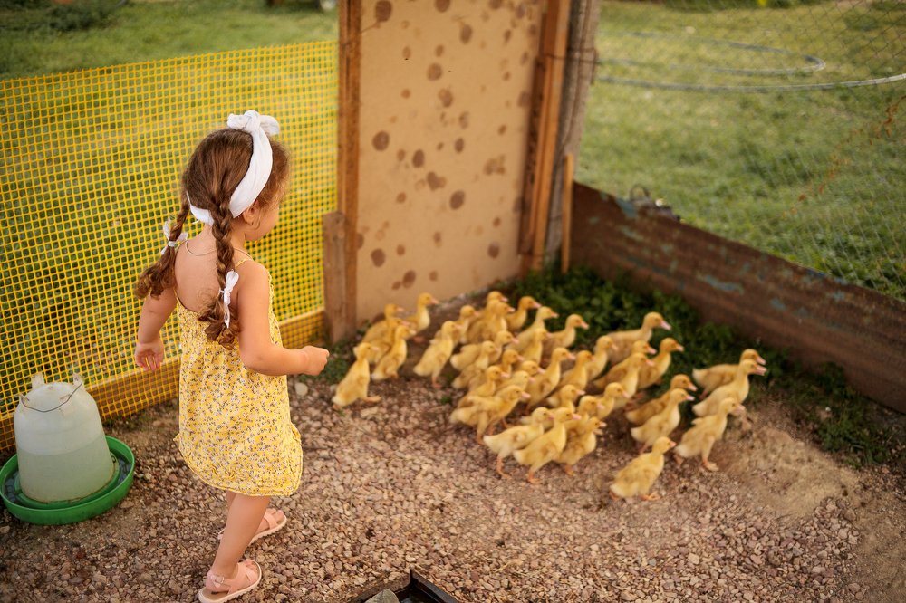 Фотография автора Евгения Ружанская