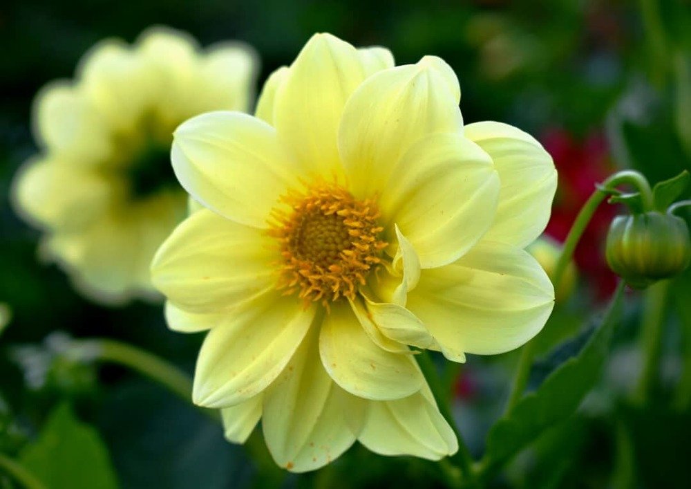 Photograph by Светлана Титова