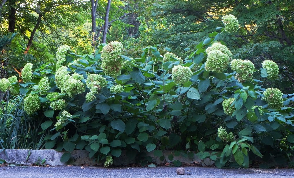 Photograph by Светлана Титова