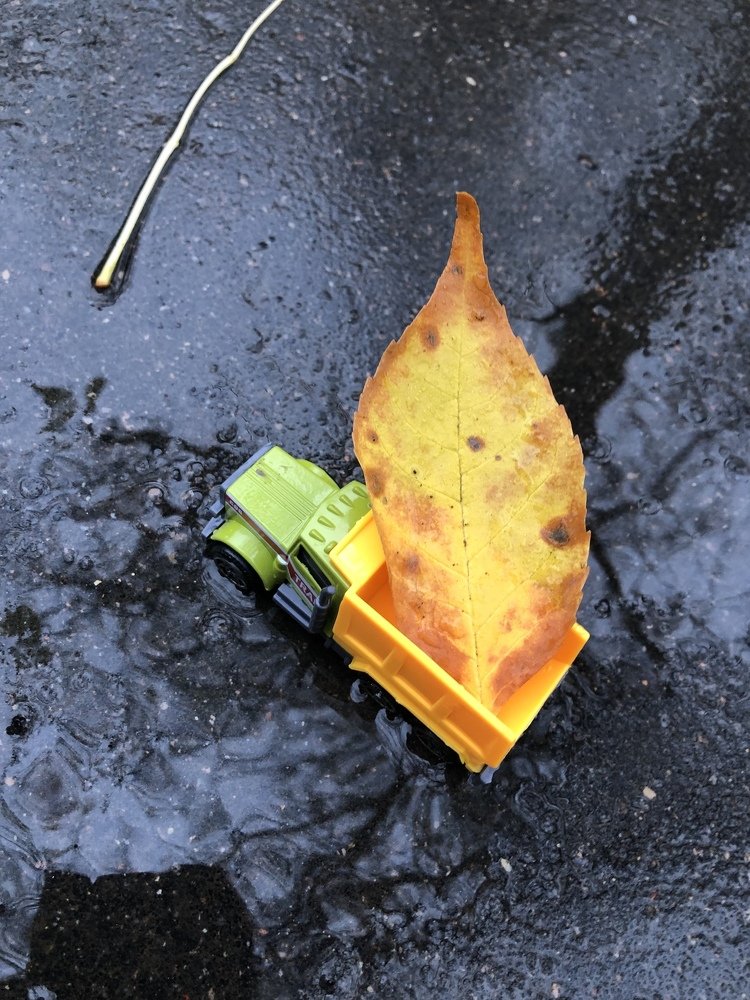 Photograph by Hanna Hertman