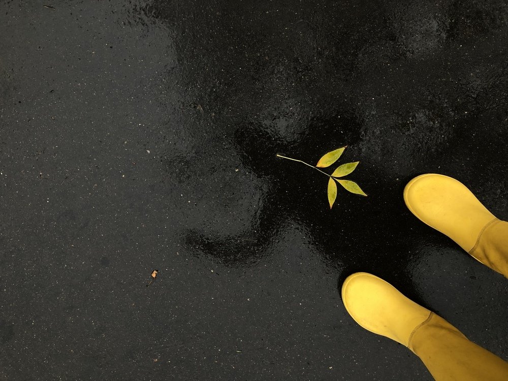 Photograph by Hanna Hertman