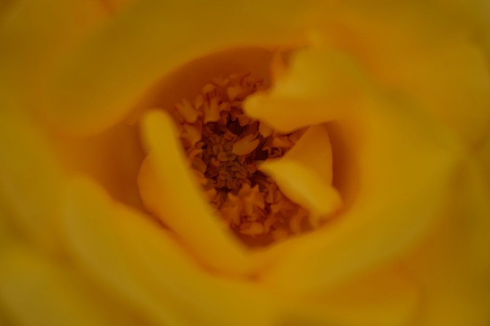 Photograph by Наталья Еременко