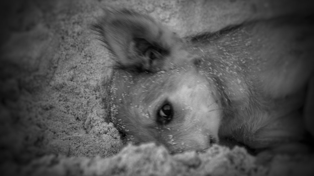 Photograph by Sai udeep sagar Yadalla