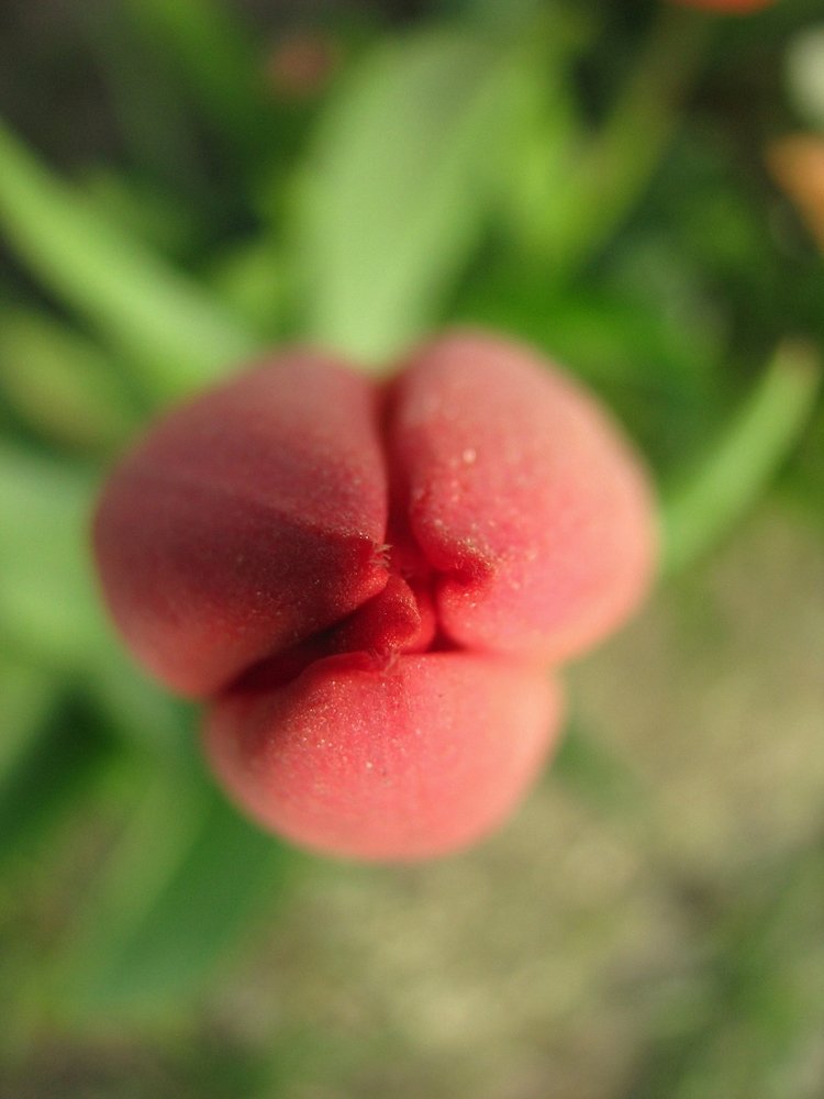 Photograph by Ірина Шандрук