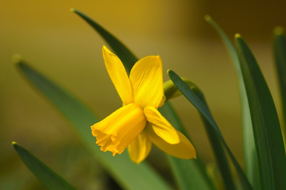 Photograph by Людмила Ефремова