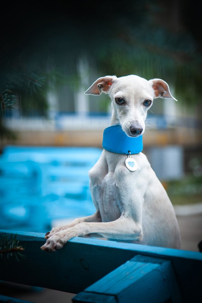 Photograph by Ирина Глазурь