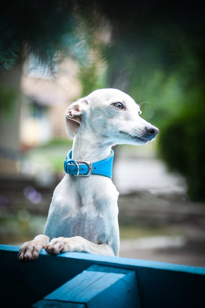 Photograph by Ирина Глазурь