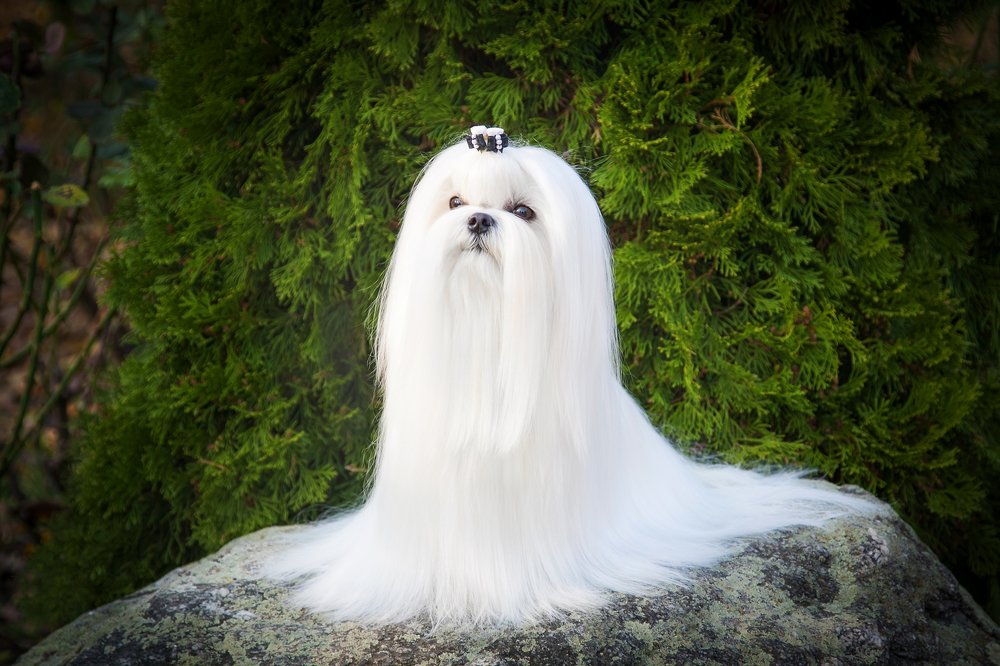 Photograph by Ирина Глазурь