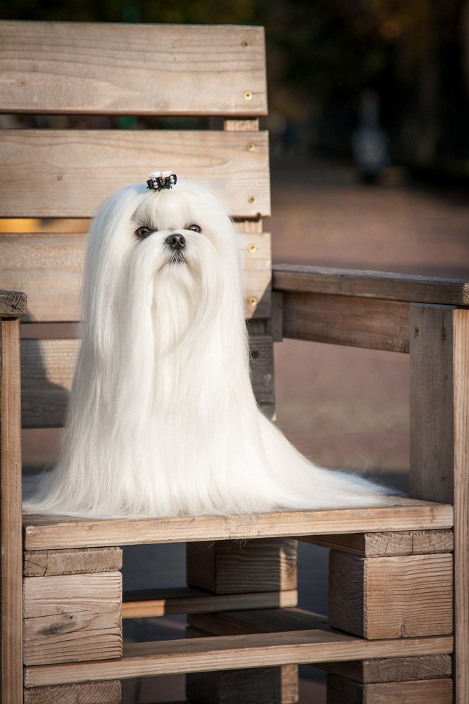 Photograph by Ирина Глазурь