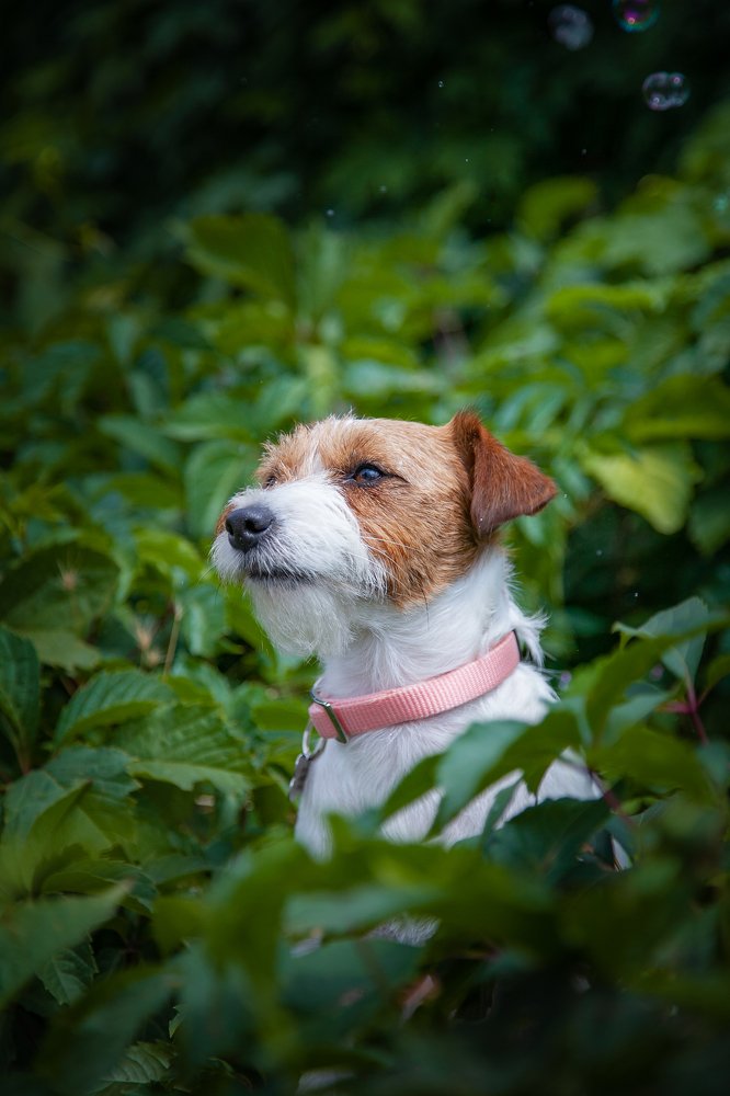 Photograph by Ирина Глазурь