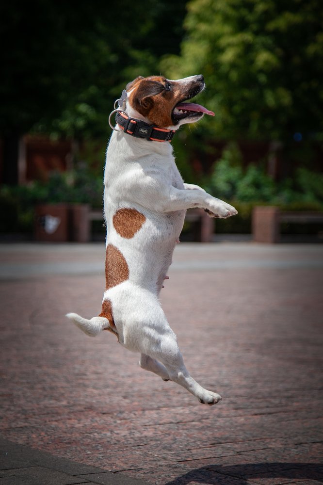 Photograph by Ирина Глазурь