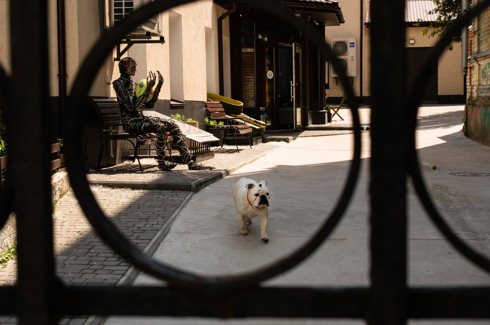 Photograph by Marika Charkviani