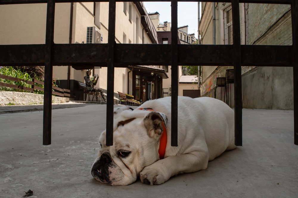 Photograph by Marika Charkviani