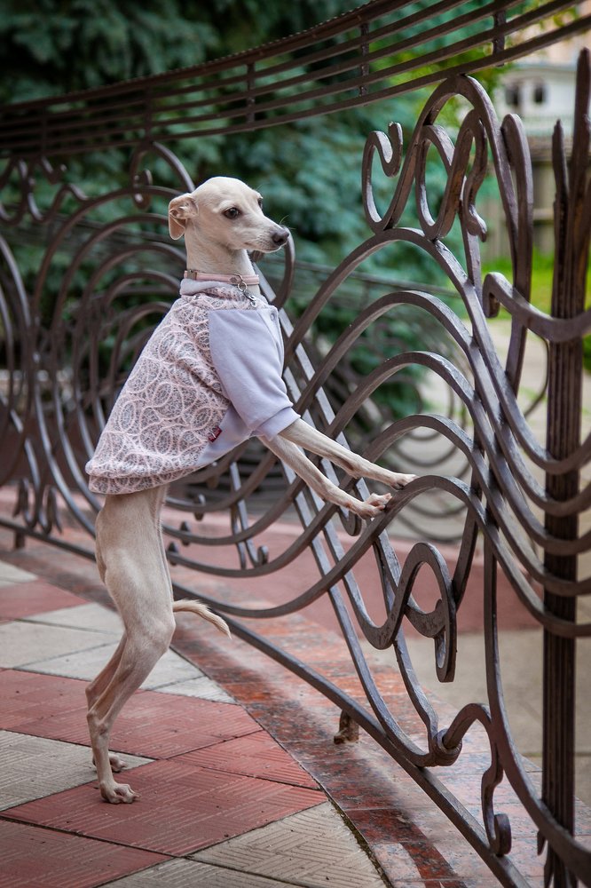 Photograph by Ирина Глазурь