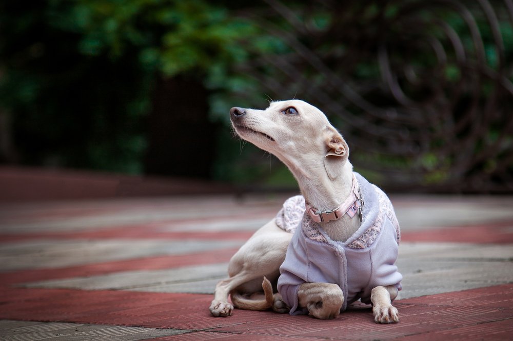 Photograph by Ирина Глазурь