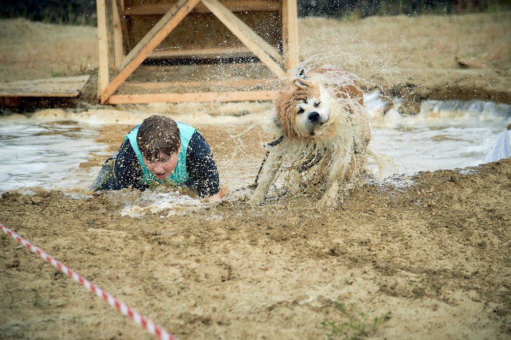 Photograph by Сергей Лисов