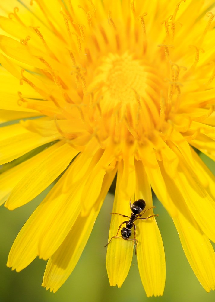 Photograph by Наталья Гайдукевич