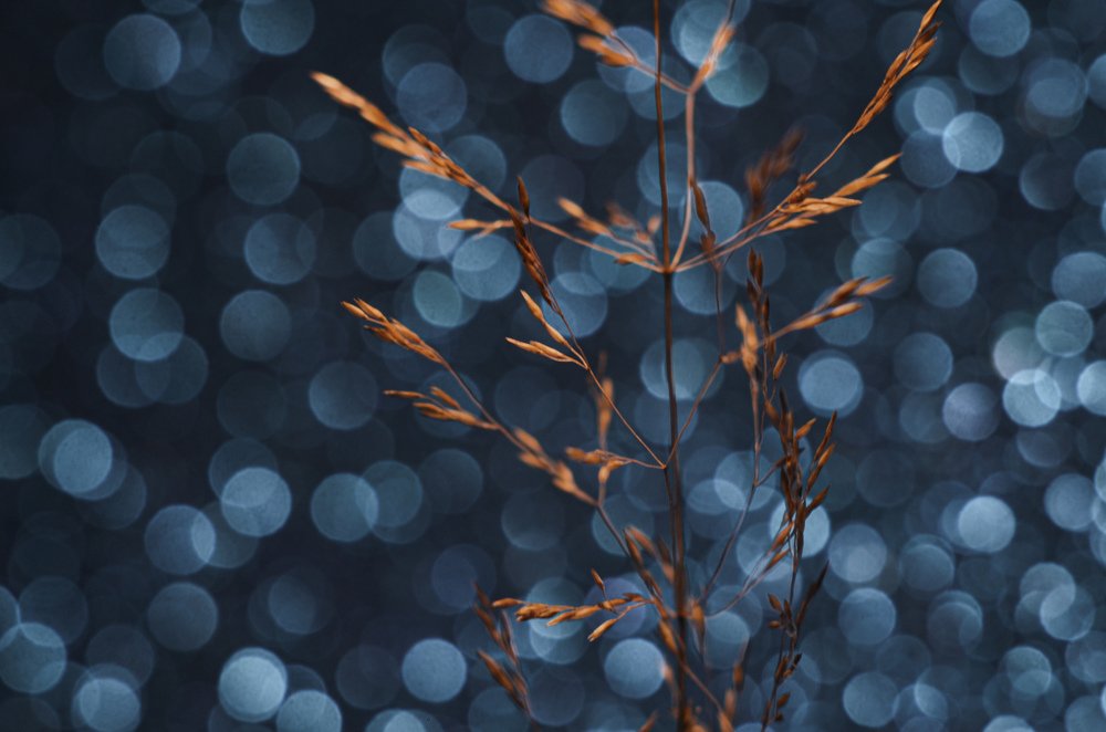 Photograph by Ольга Распопова