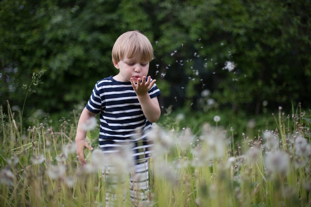 Photograph by Елена Клубова