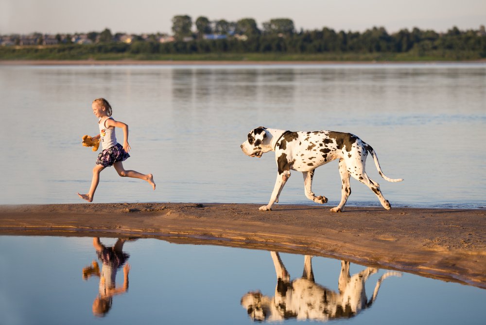 Photograph by Elena Dmitrieva