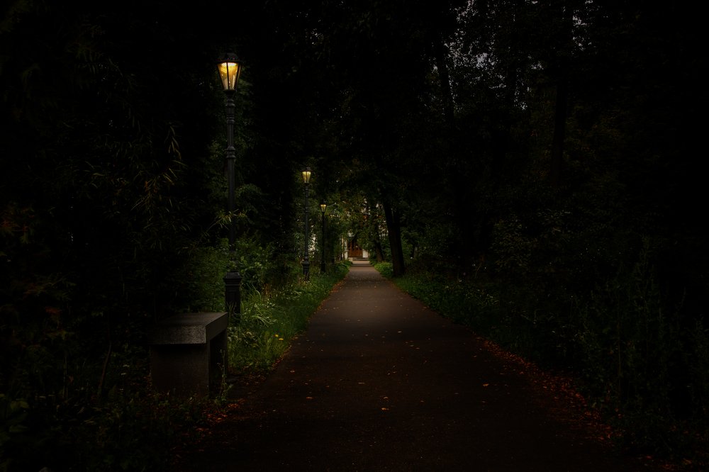 Photograph by Светлана Саиди