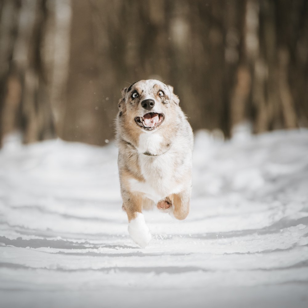 Photograph by Мария Калинина