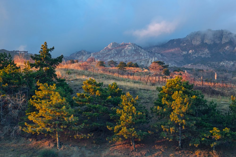 Photograph by Дмитрий Цыпляев