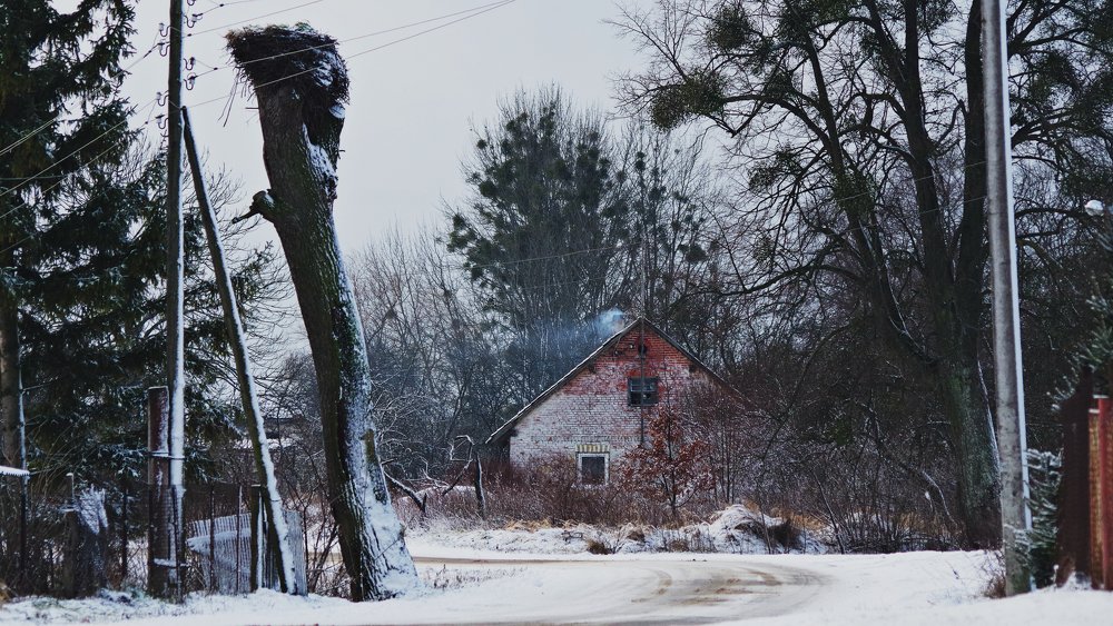 Дом в деревне
