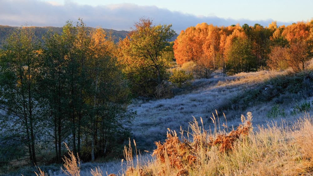 Photograph by Дворянинова Екатерина