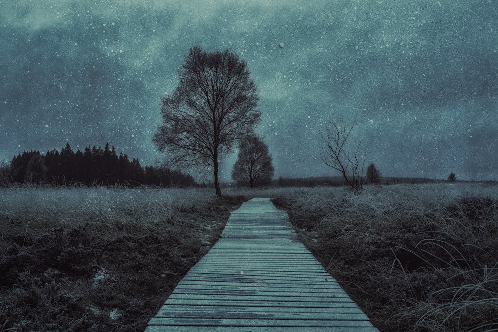 Photograph by Jerry de Stexhe