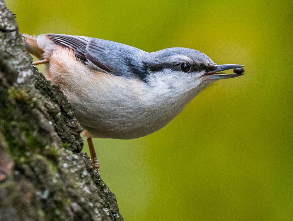 Photograph by Курлянцев Алексей