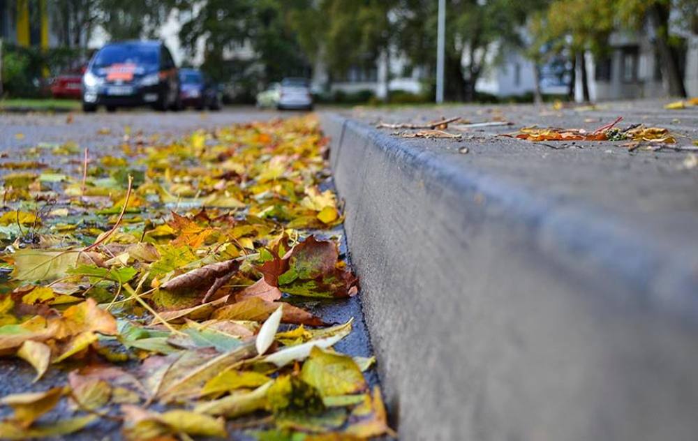 Фотография автора Алёна Морозова