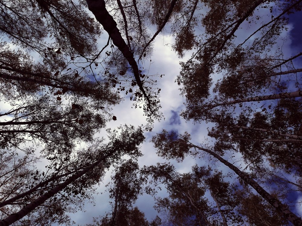 Photograph by Александра Баранова