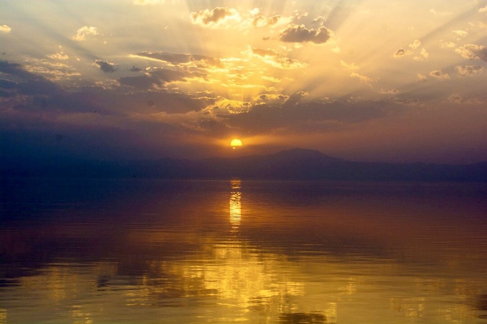 Photograph by Chia Hasankhali