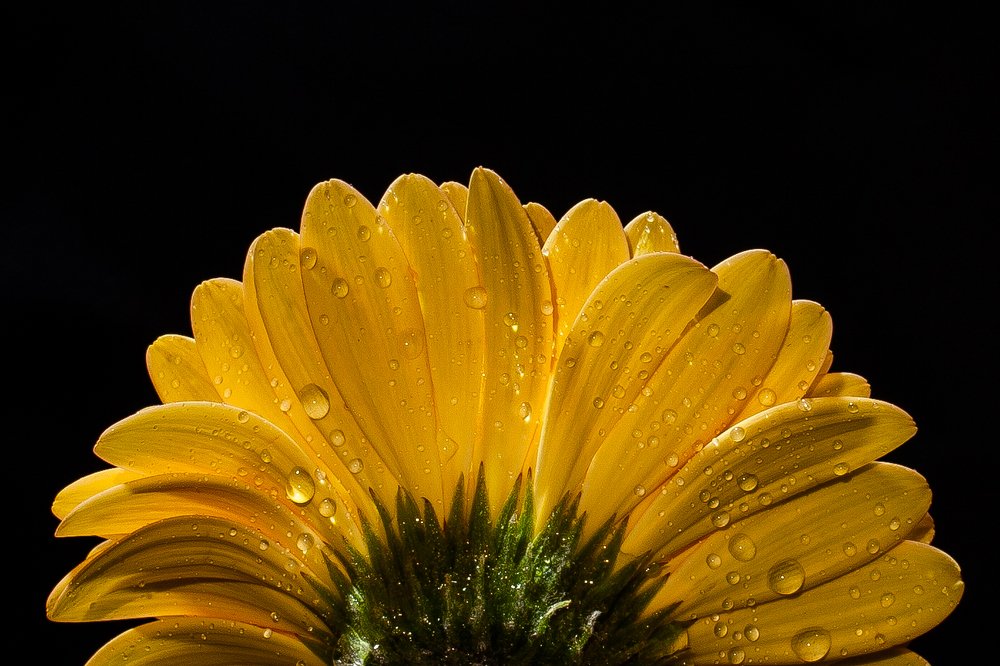 Photograph by Morne Grobler