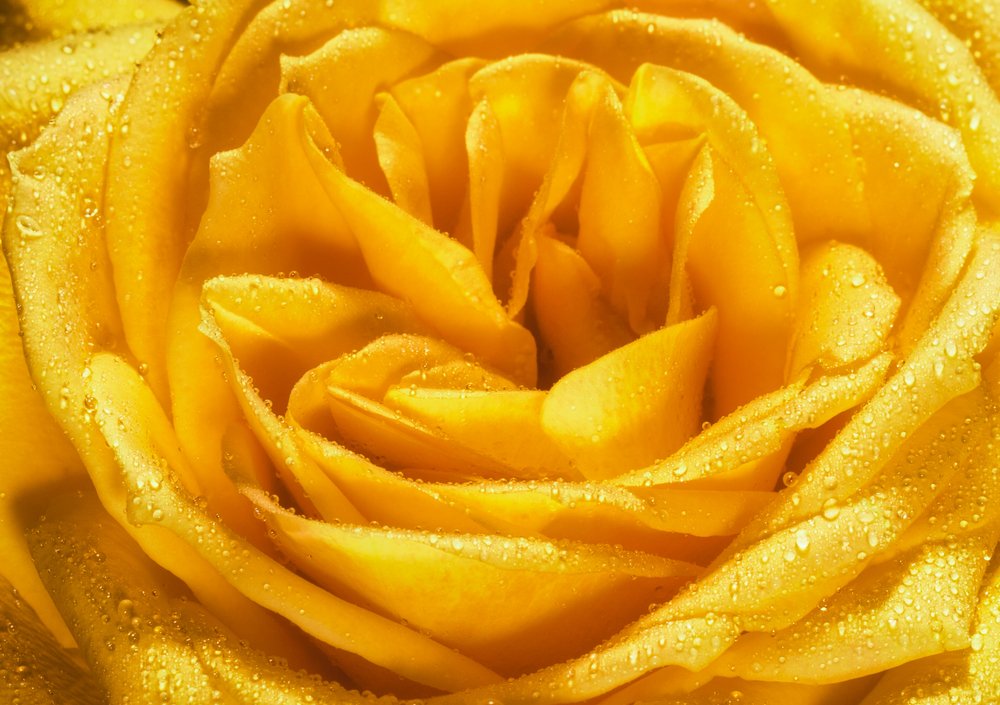 Photograph by Morne Grobler