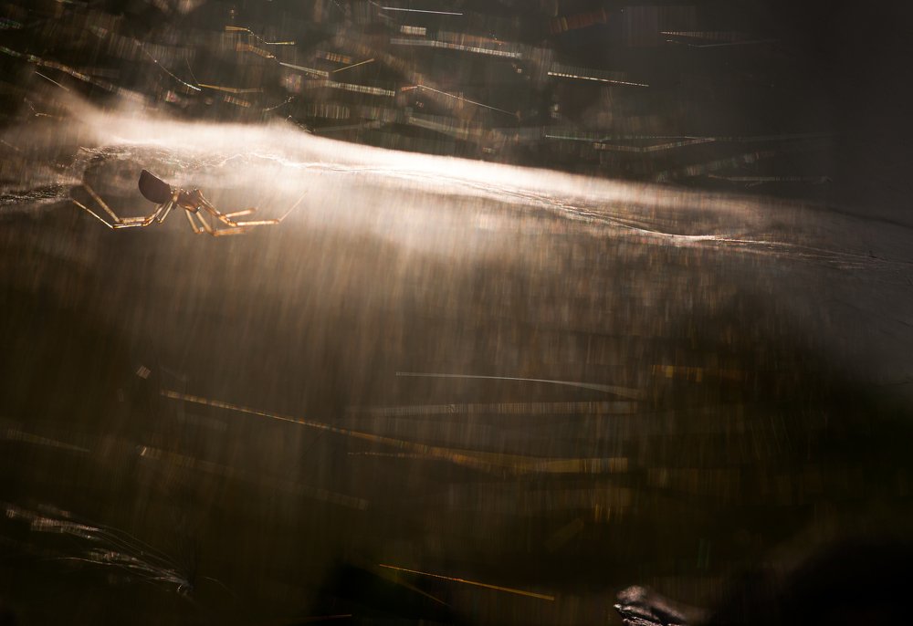 "Портал открыт..."