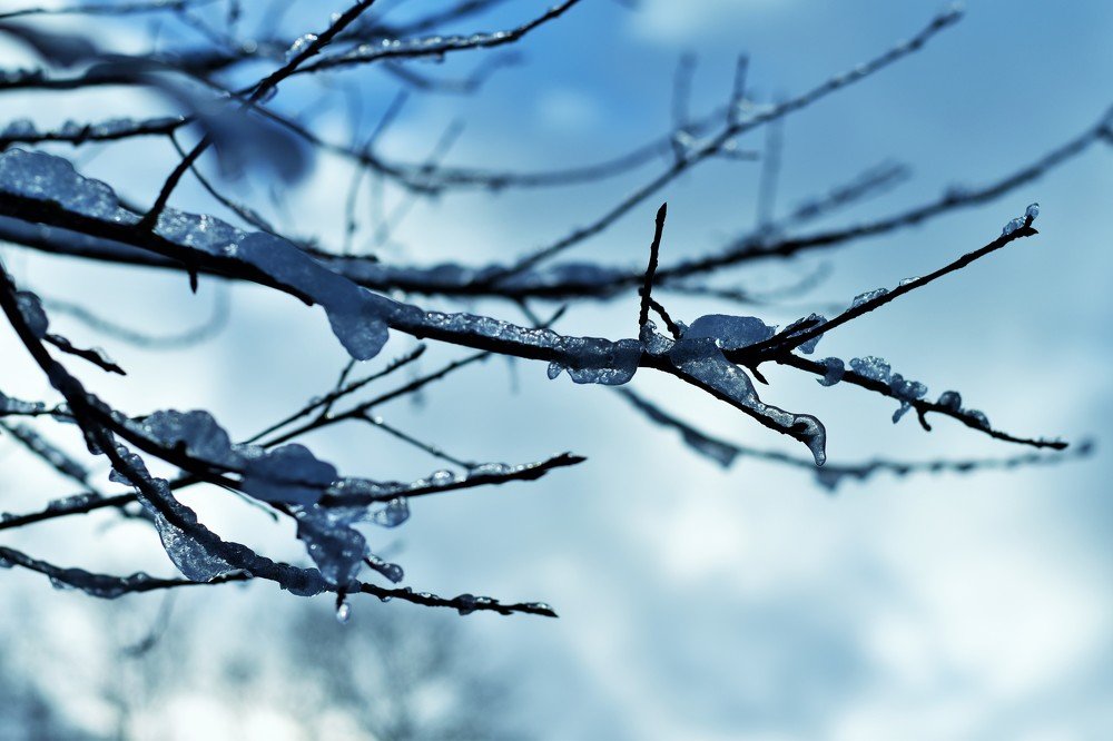 Photograph by Ija Reiman