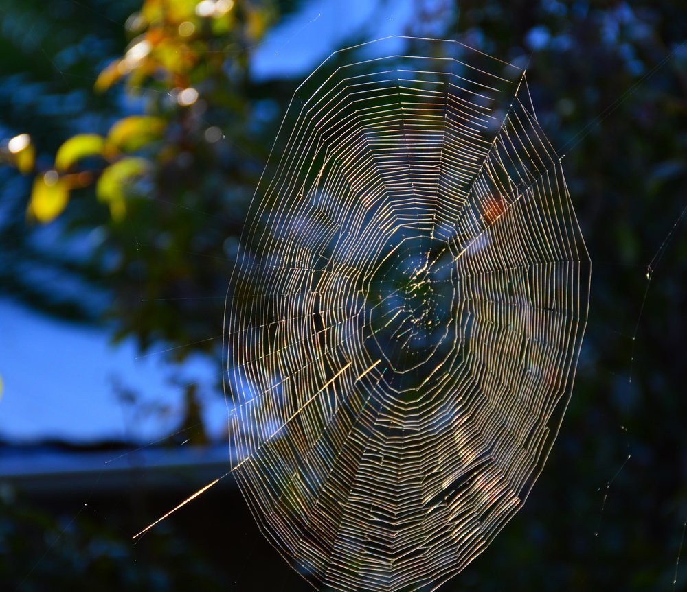 Photograph by Юрий Солодовников